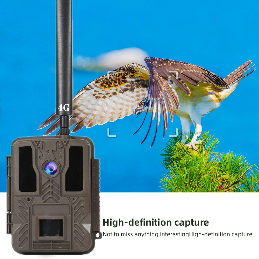 Night Vision IR Motion Detection Waterproof 4G OEM ODM MMS SMTP FTP Hunting Trail Camera